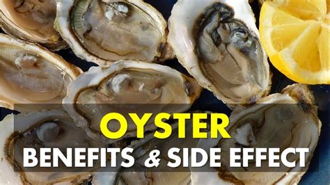 oyster benefits and side effects.